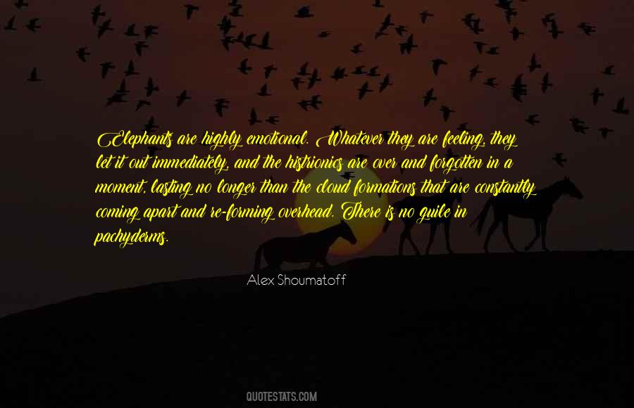 Alex Shoumatoff Quotes #495913