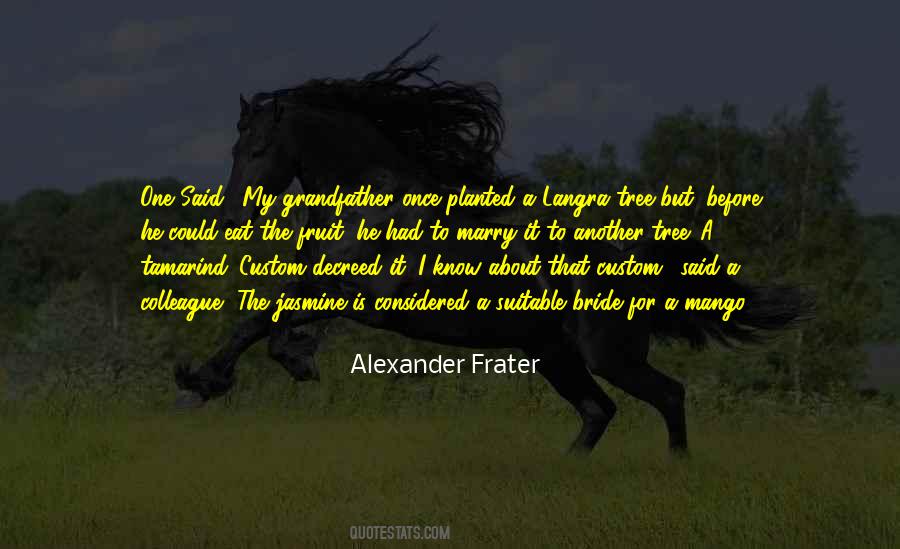 Alexander Frater Quotes #1399355