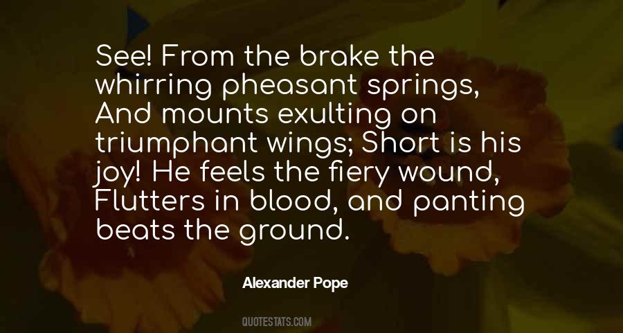 Alexander Pope Quotes #266810