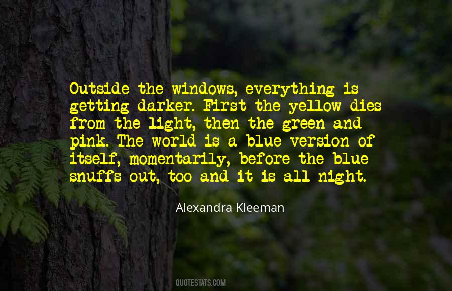 Alexandra Kleeman Quotes #865131
