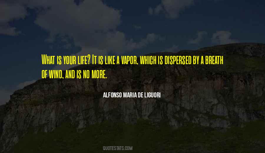 Alfonso Maria De Liguori Quotes #917761