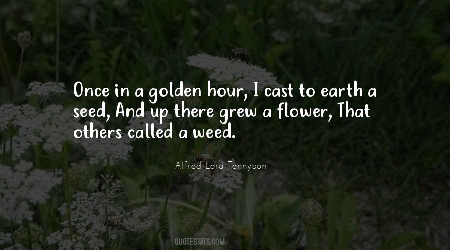 Alfred Lord Tennyson Quotes #806528