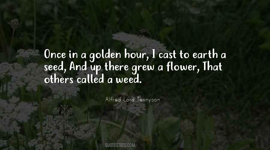 Alfred Lord Tennyson Quotes #806528