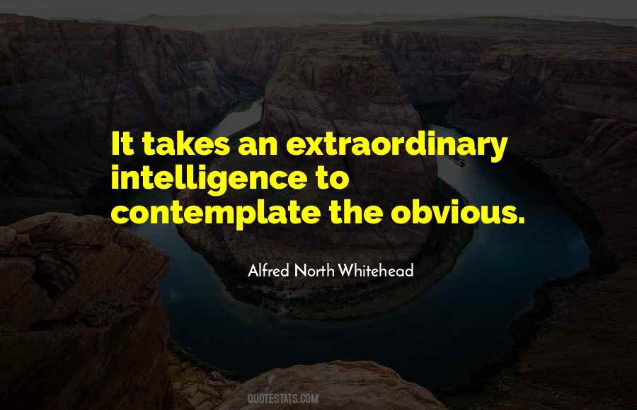 Alfred North Whitehead Quotes #354524