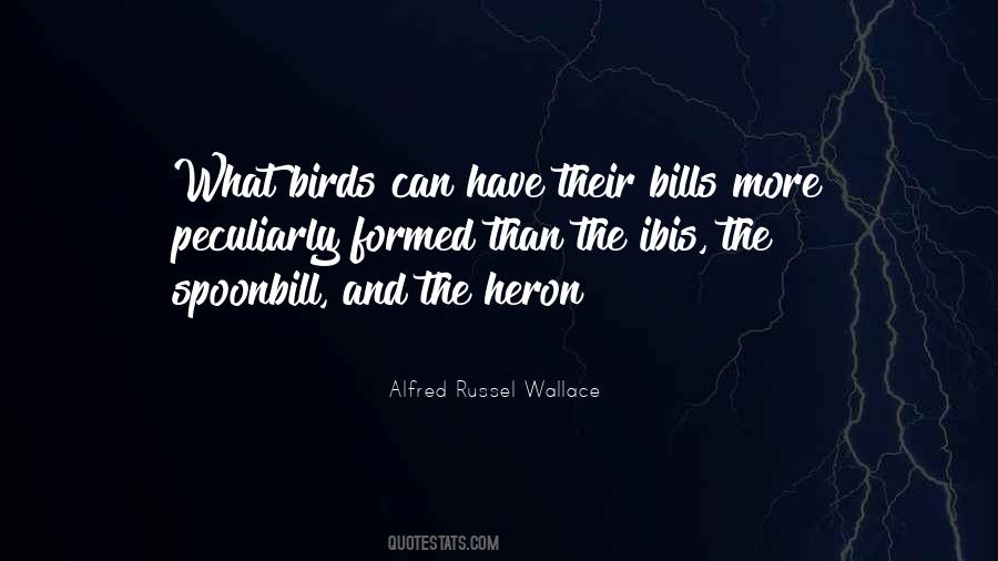 Alfred Russel Wallace Quotes #1862183