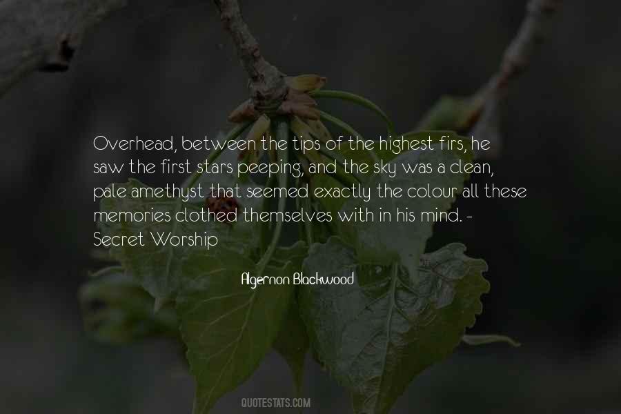 Algernon Blackwood Quotes #1200503