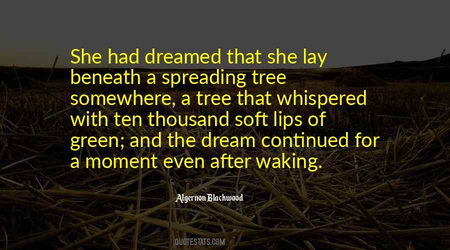 Algernon Blackwood Quotes #1217330