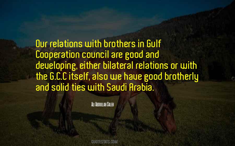 Ali Abdullah Saleh Quotes #918883