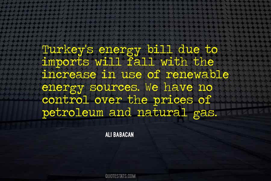 Ali Babacan Quotes #840444