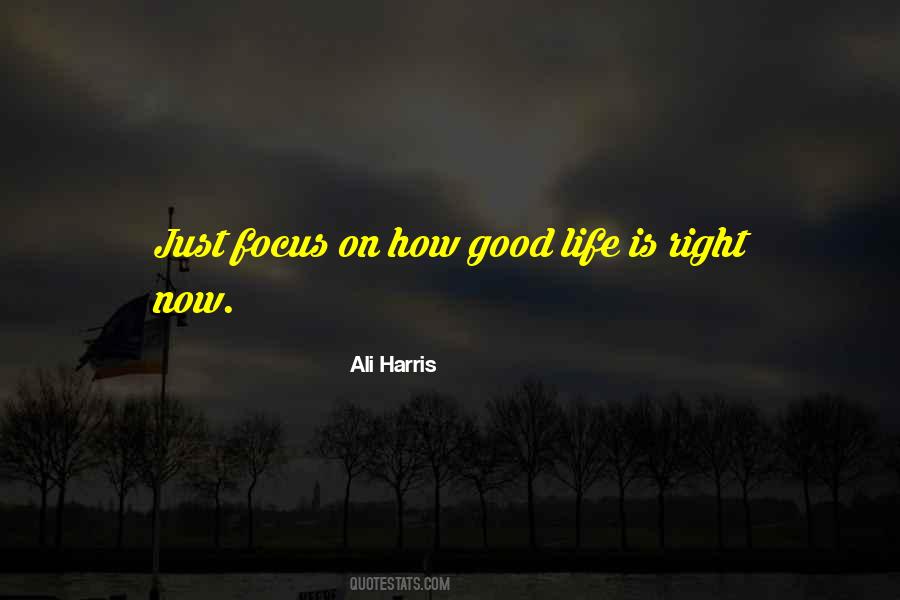 Ali Harris Quotes #1229525