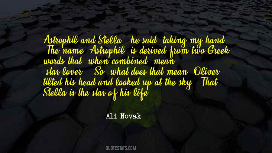 Ali Novak Quotes #1471539
