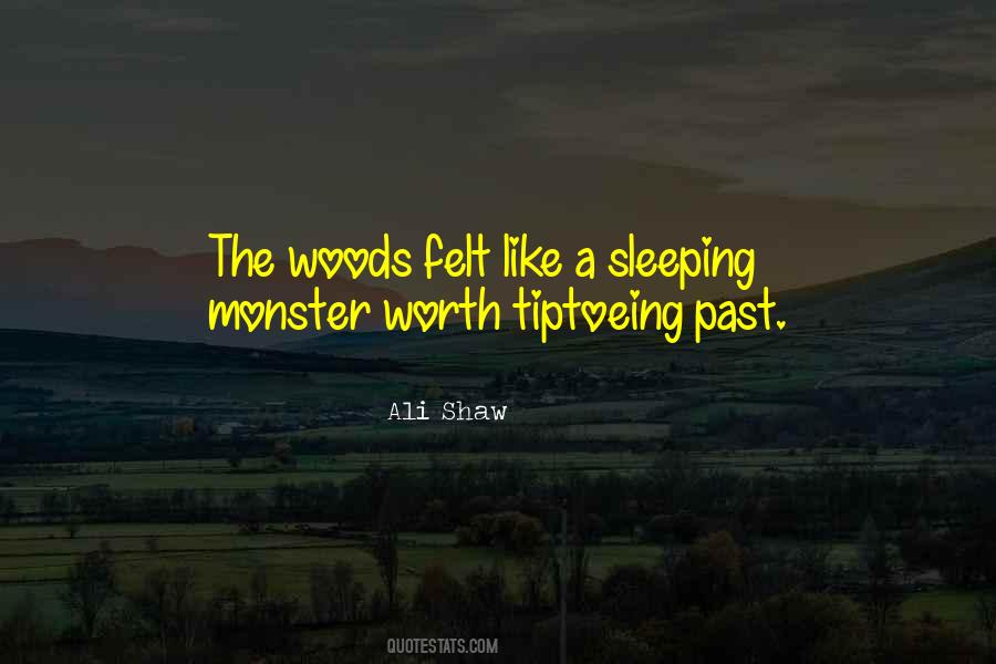 Ali Shaw Quotes #158375