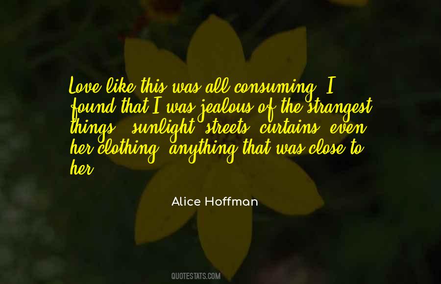 Alice Hoffman Quotes #55382