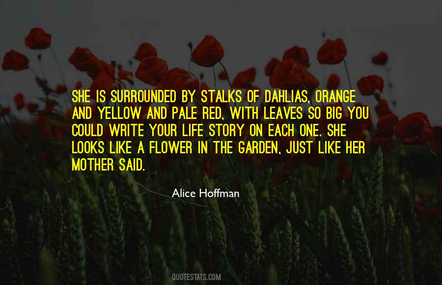 Alice Hoffman Quotes #853168