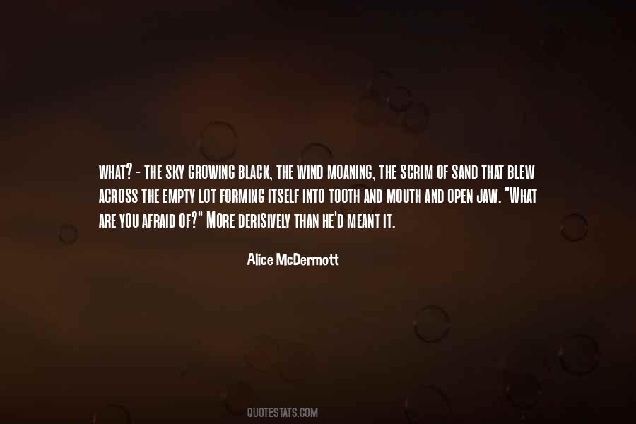 Alice McDermott Quotes #1386725