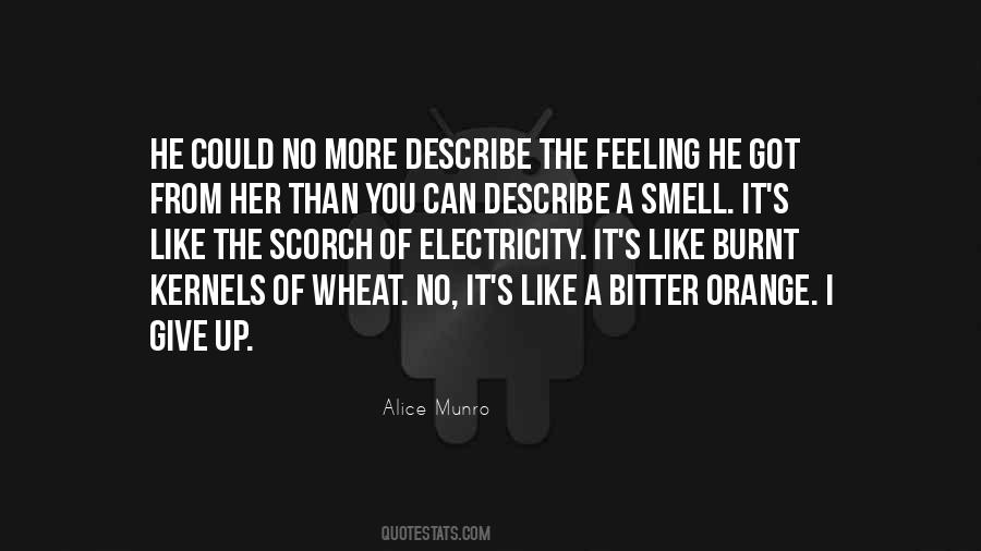 Alice Munro Quotes #1342603