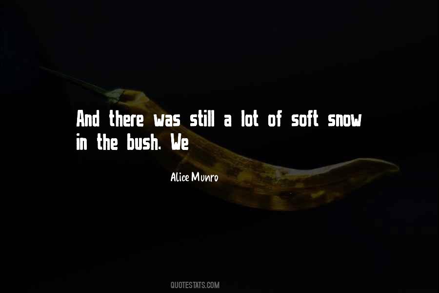 Alice Munro Quotes #1368627