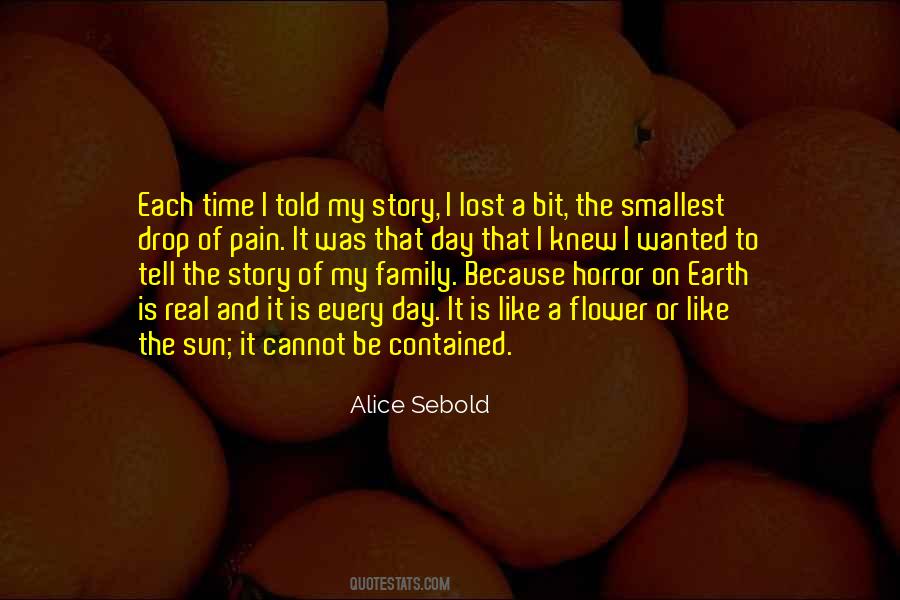 Alice Sebold Quotes #265777