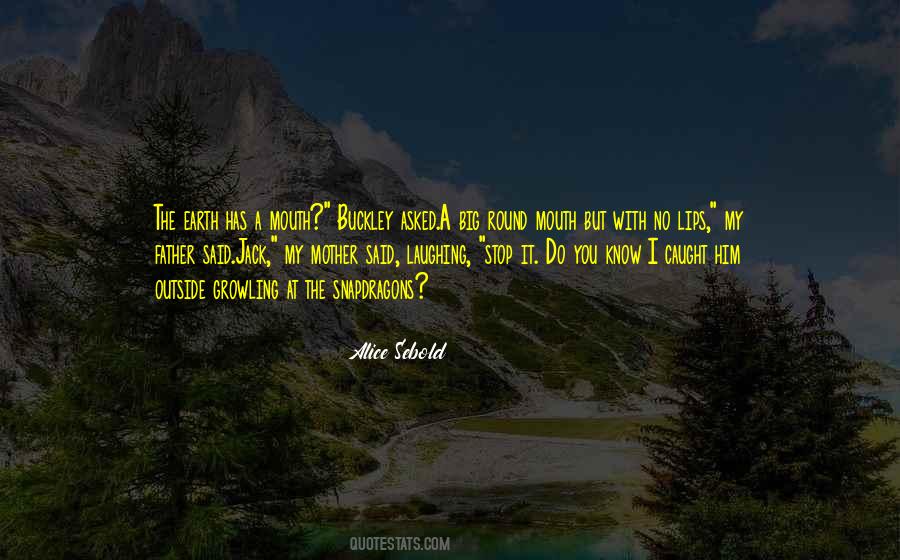 Alice Sebold Quotes #487495