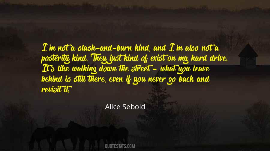 Alice Sebold Quotes #572891