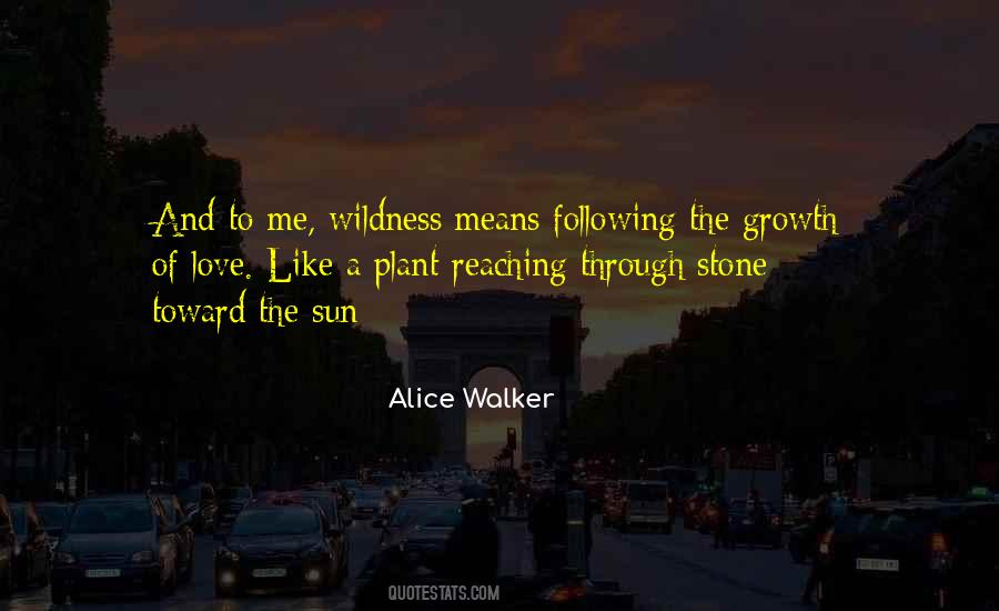 Alice Walker Quotes #42970