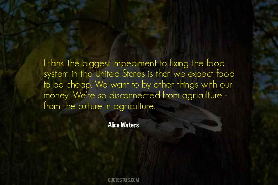 Alice Waters Quotes #1609788