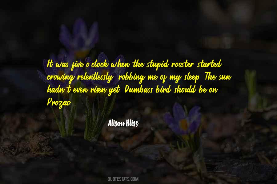 Alison Bliss Quotes #1033037
