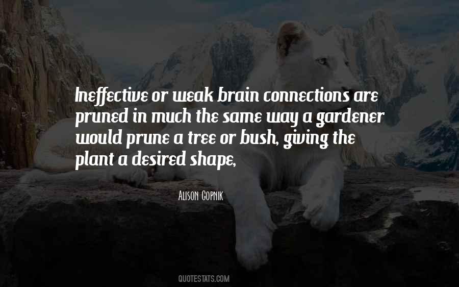 Alison Gopnik Quotes #240707