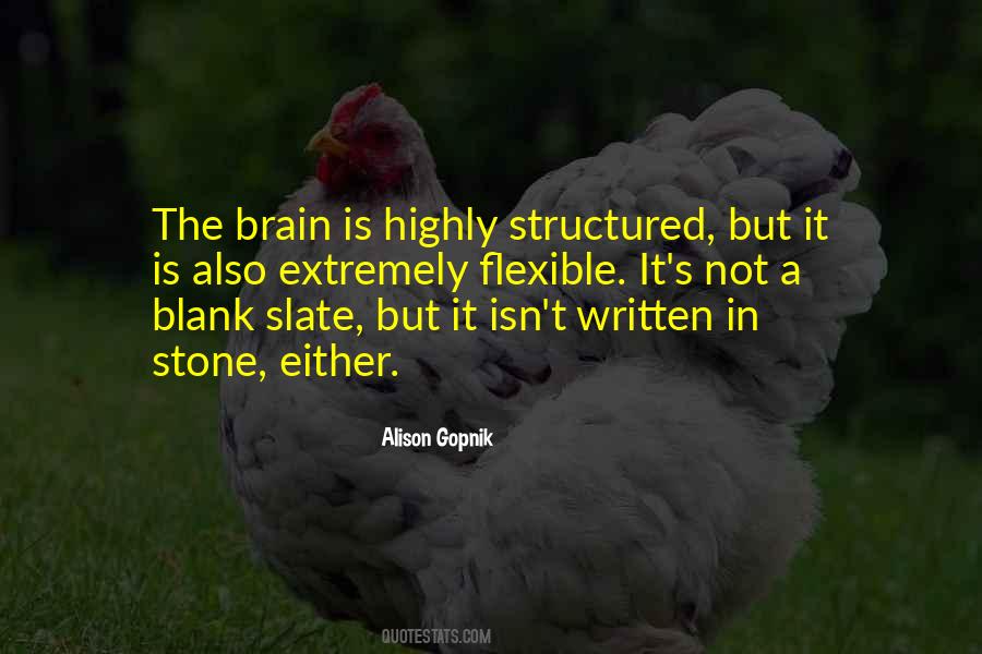 Alison Gopnik Quotes #624950