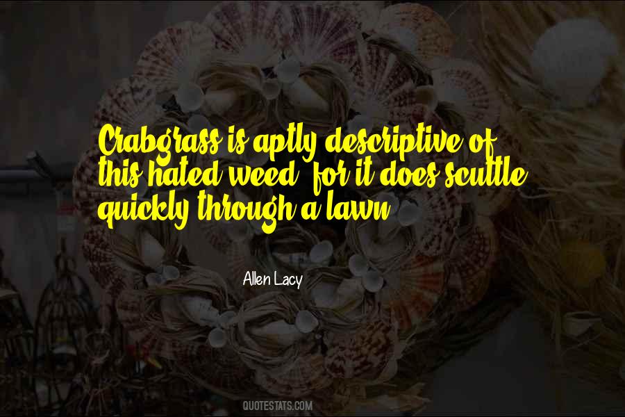 Allen Lacy Quotes #818057