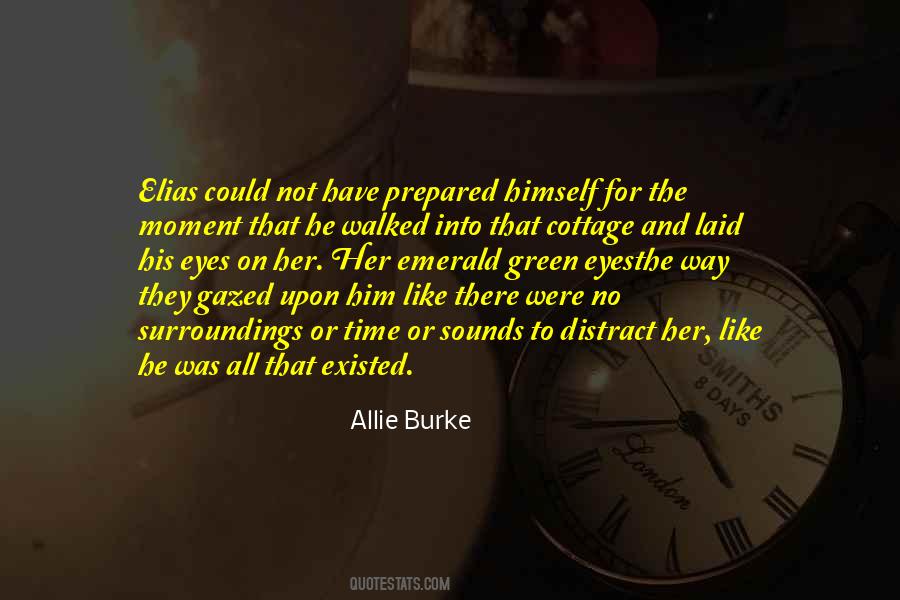 Allie Burke Quotes #983170
