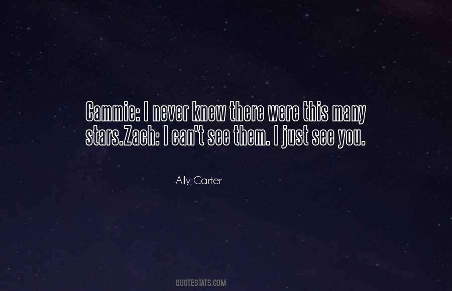 Ally Carter Quotes #103179