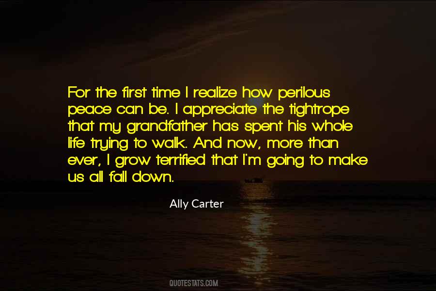 Ally Carter Quotes #1056466