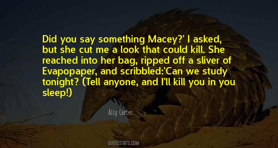 Ally Carter Quotes #382314