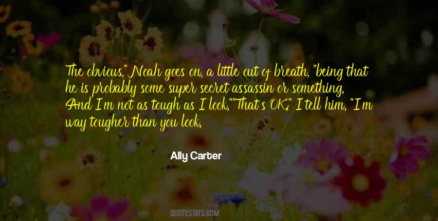 Ally Carter Quotes #502466