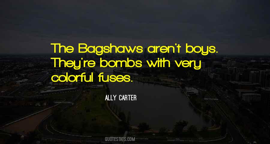 Ally Carter Quotes #664162