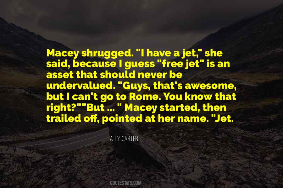 Ally Carter Quotes #702380