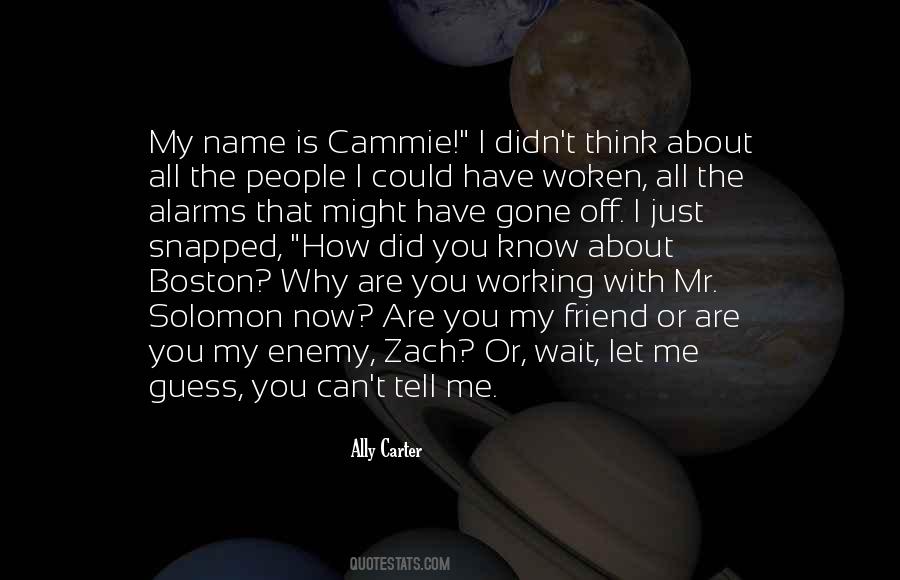 Ally Carter Quotes #716789