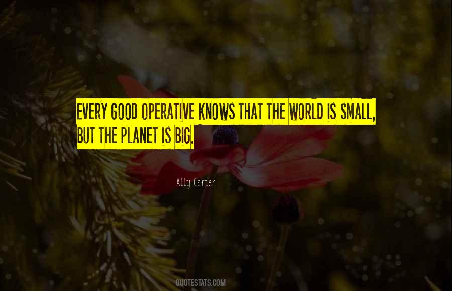 Ally Carter Quotes #999432