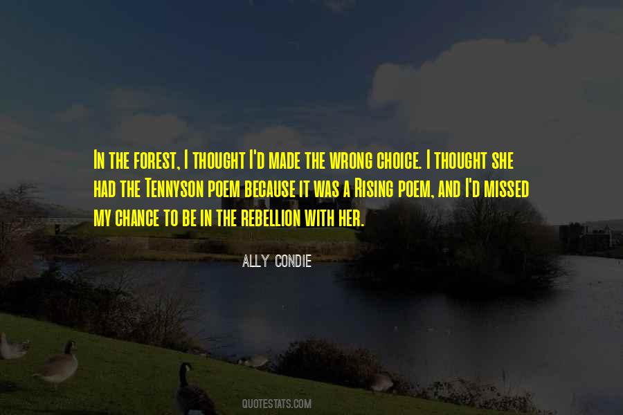 Ally Condie Quotes #363582