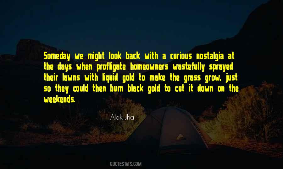 Alok Jha Quotes #1040379