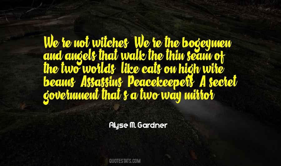 Alyse M. Gardner Quotes #589295