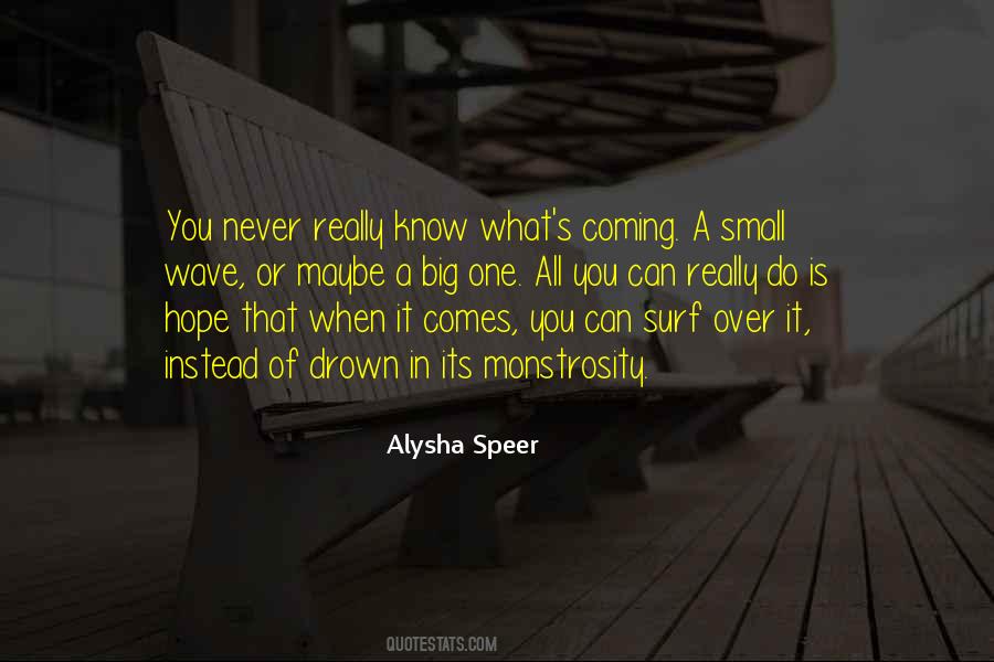 Alysha Speer Quotes #1721103