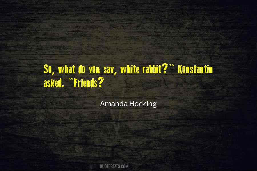 Amanda Hocking Quotes #351088