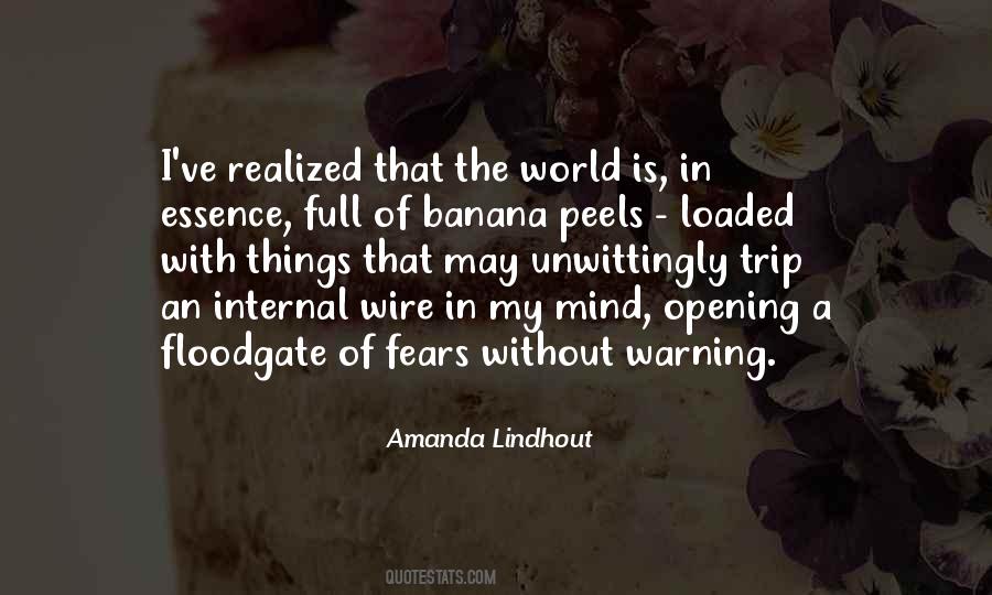 Amanda Lindhout Quotes #1709366