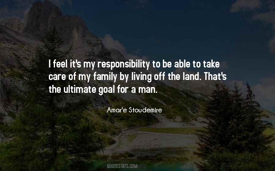 Amar'e Stoudemire Quotes #297226