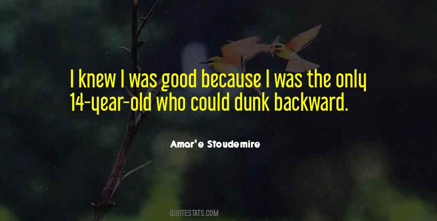 Amar'e Stoudemire Quotes #455439