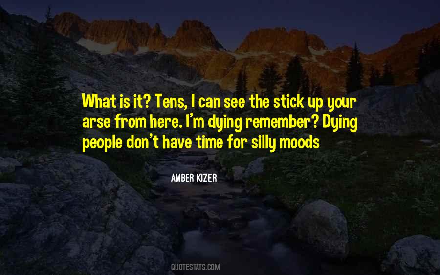 Amber Kizer Quotes #707573