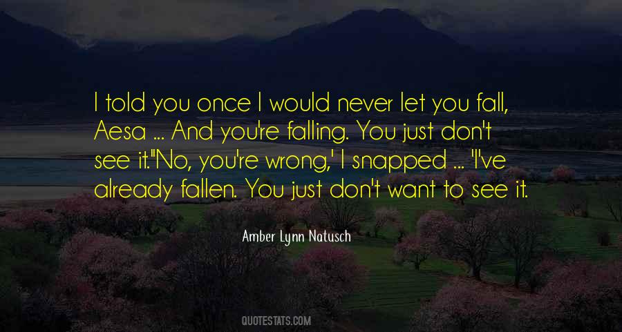 Amber Lynn Natusch Quotes #66677
