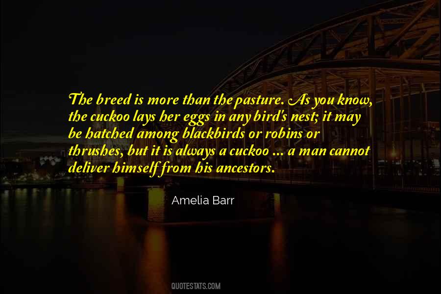 Amelia Barr Quotes #1619485
